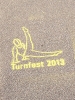 Turnfest 2013 - Mannheim_4