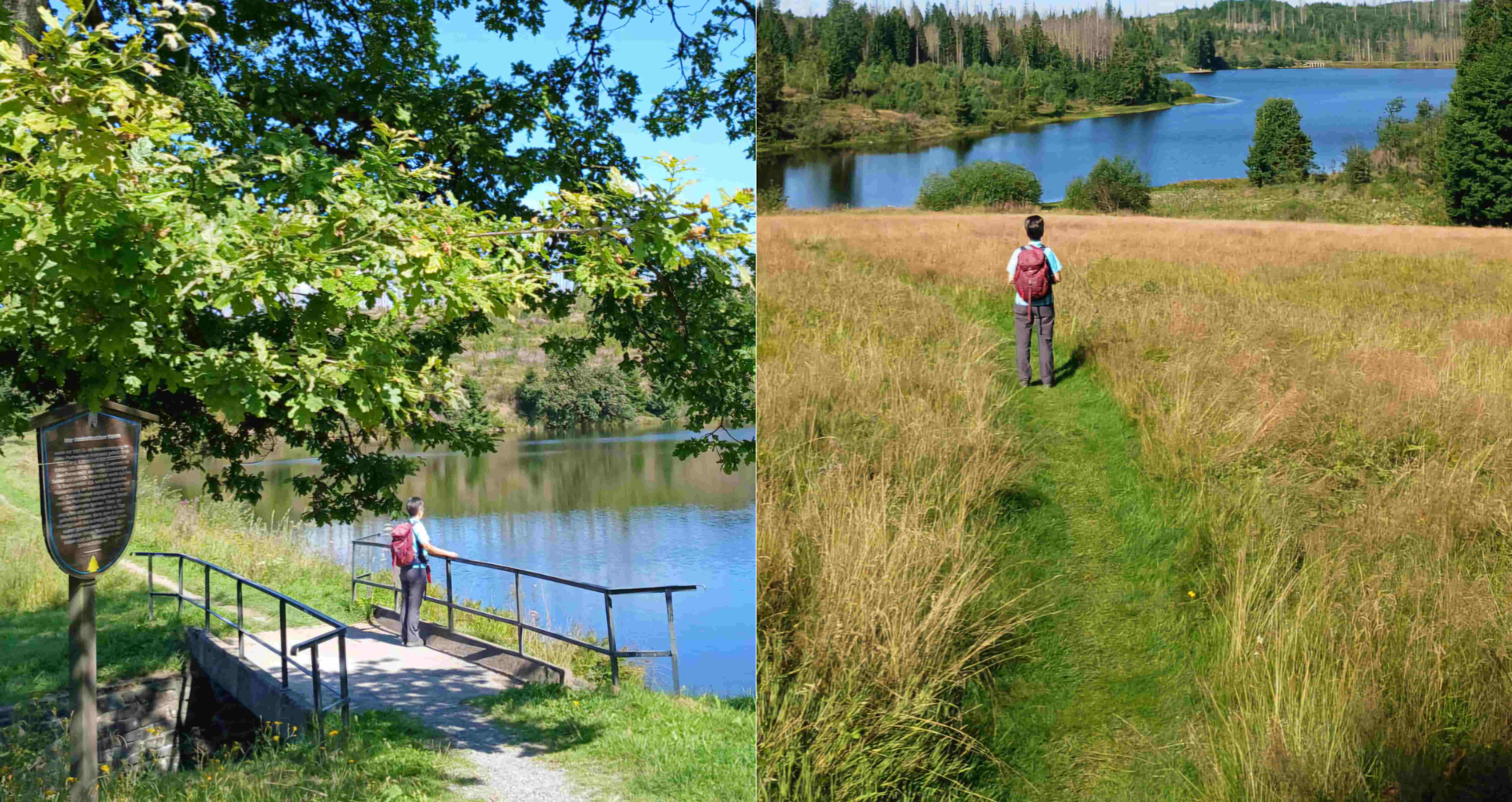 Wandern Buntenbock